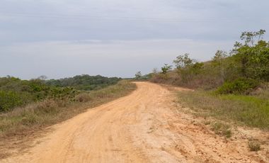 VENDO FINCA DE 345 HECTÁREAS EN SAN CARLOS DE GUAROA.