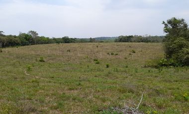 VENDO FINCA DE 345 HECTÁREAS EN SAN CARLOS DE GUAROA.