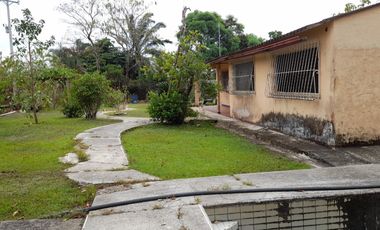 VENDO FINCA DE 345 HECTÁREAS EN SAN CARLOS DE GUAROA.