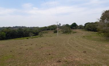 VENDO FINCA DE 345 HECTÁREAS EN SAN CARLOS DE GUAROA.