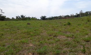 VENDO FINCA DE 345 HECTÁREAS EN SAN CARLOS DE GUAROA.