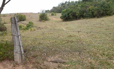 VENDO FINCA DE 345 HECTÁREAS EN SAN CARLOS DE GUAROA.