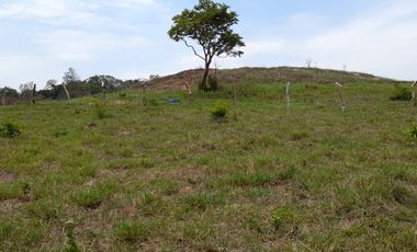 VENDO FINCA DE 345 HECTÁREAS EN SAN CARLOS DE GUAROA.