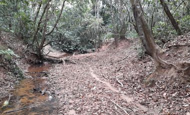 VENDO FINCA DE 345 HECTÁREAS EN SAN CARLOS DE GUAROA.
