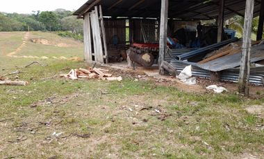 VENDO FINCA DE 345 HECTÁREAS EN SAN CARLOS DE GUAROA.