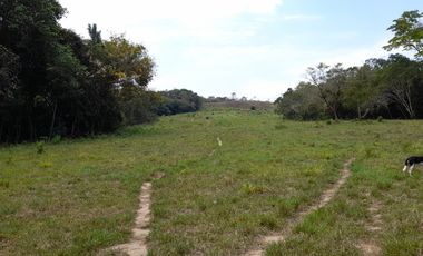 VENDO FINCA DE 345 HECTÁREAS EN SAN CARLOS DE GUAROA.