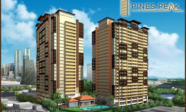 PIONEER- MANDALUYONG PINES PEAK 1 STUDIO AND 1 BEDROOM