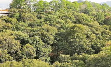 VENTA DEPARTAMENTO ACANTO RESIDENCIAL , DESIERTO DE LOS LEONES, CDMX
