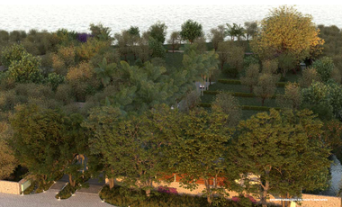 Terrenos en Venta en Eremita Lago, San Antonio Tlayacapan, Chapala