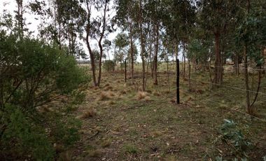 Terreno en venta - 500mts2 - Necochea