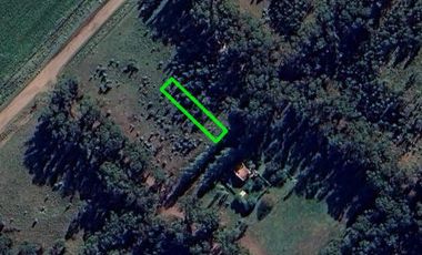 Terreno en venta - 500mts2 - Necochea