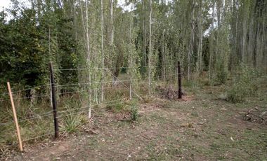 Terreno en venta - 500mts2 - Necochea