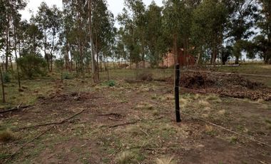 Terreno en venta - 500mts2 - Necochea