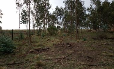 Terreno en venta - 500mts2 - Necochea