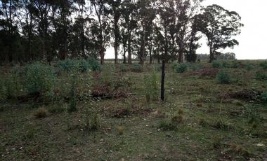 Terreno en venta - 500mts2 - Necochea