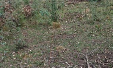 Terreno en venta - 500mts2 - Necochea