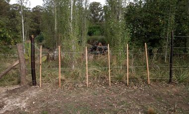 Terreno en venta - 500mts2 - Necochea