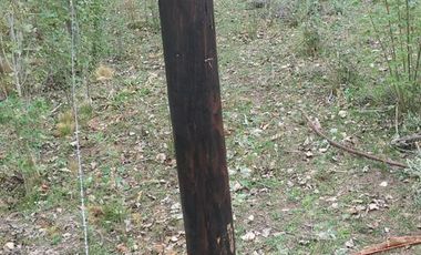 Terreno en venta - 500mts2 - Necochea