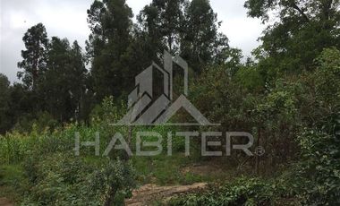 Casa en Venta en alupenhue