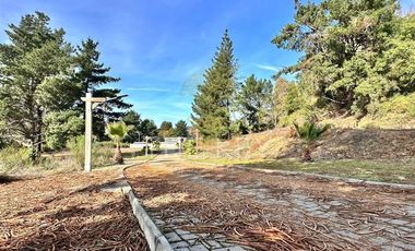 Parcela en Venta en Camino a Santa Juana - Reserva de Mitrinhue