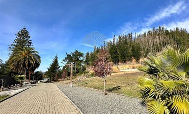 Parcela en Venta en Camino a Santa Juana - Reserva de Mitrinhue