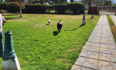 Casa en Venta en Peñaflor central