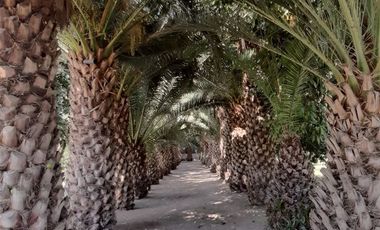 Casa en Venta en Peñaflor central