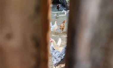 Casa en Venta en Peñaflor central