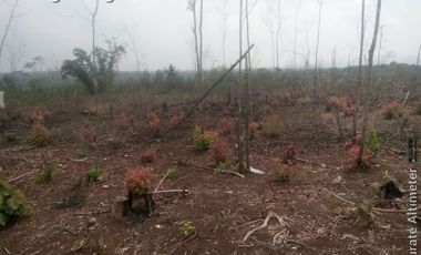 Cheap land for sale 320 Ha in Curugbitung Lebak Banten