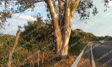 Terreno de uso mixto en Chapala