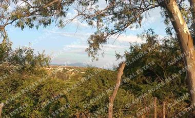 Terreno de uso mixto en Chapala