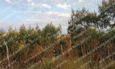 Terreno de uso mixto en Chapala