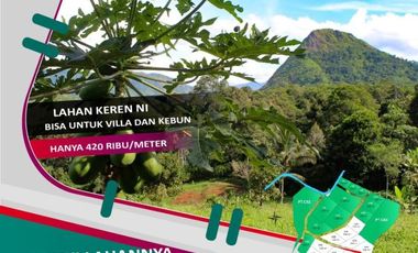 Tanah KAvling Kebun di Pesona Villa Sukaharja Bogor