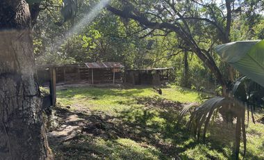 finca en venta en carlos lleras. Cod V1125001