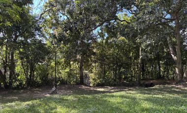 finca en venta en carlos lleras. Cod V1125001