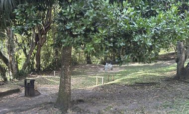 finca en venta en carlos lleras. Cod V1125001