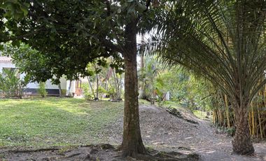 finca en venta en carlos lleras. Cod V1125001