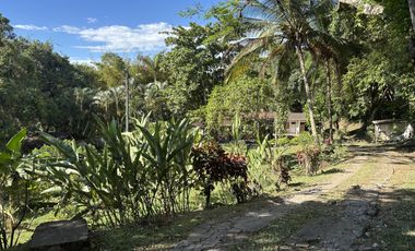 finca en venta en carlos lleras. Cod V1125001