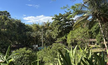 finca en venta en carlos lleras. Cod V1125001