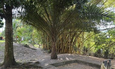 finca en venta en carlos lleras. Cod V1125001