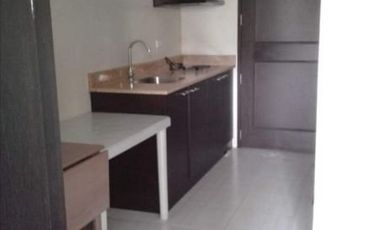 Ready for Occupancy 1BR Midrise Condo for Sale in Doña Soledad Paranaque near SM Bicutan PDH Puregold - Chateau Elysee