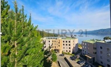 Venta Depto 2D 2B 1E Lonco Parque