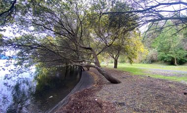 Terreno borde Lago Ranco