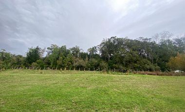 Terreno borde Lago Ranco