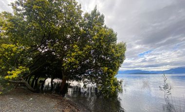 Terreno borde Lago Ranco