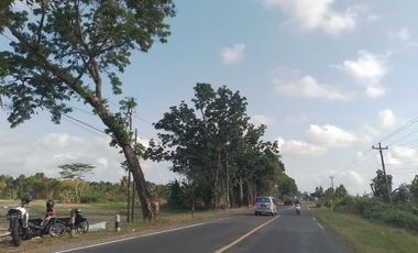 Tanah Dijual Murah SHM Barat Puskesmas Bagelen