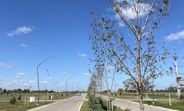 Terreno comercial 300 m2 sobre avenida principal - EcoTierra - Pueblo Esther -  Distrito Cero