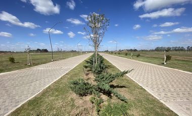 Terreno comercial 300 m2 sobre avenida principal - EcoTierra - Pueblo Esther -  Distrito Cero