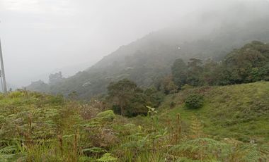 lote en venta en dapa. Cod V9403783