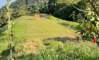 lote en venta en dapa. Cod V9403783